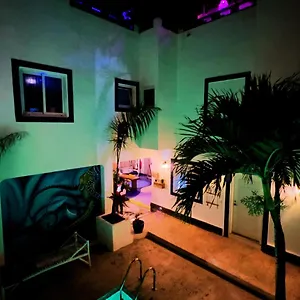 Tribe Jungle & Flamingo Hotel